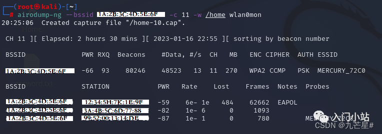 wifi密码字典包下载