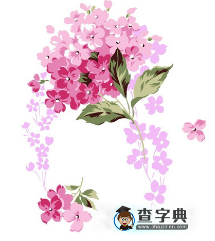 wifi密码字典生成工具